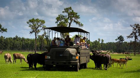 Safari wilderness ranch - Have you always wanted to stay overnight at Safari Wilderness Ranch in Lakeland, Florida? Well now you can! Safari Wilderness will now host a few special people per night in 10 beautifully appointed safari tents on the property! Continental breakfast is included. Base pricing is based on adult double occupancy. Additional guests may be added…